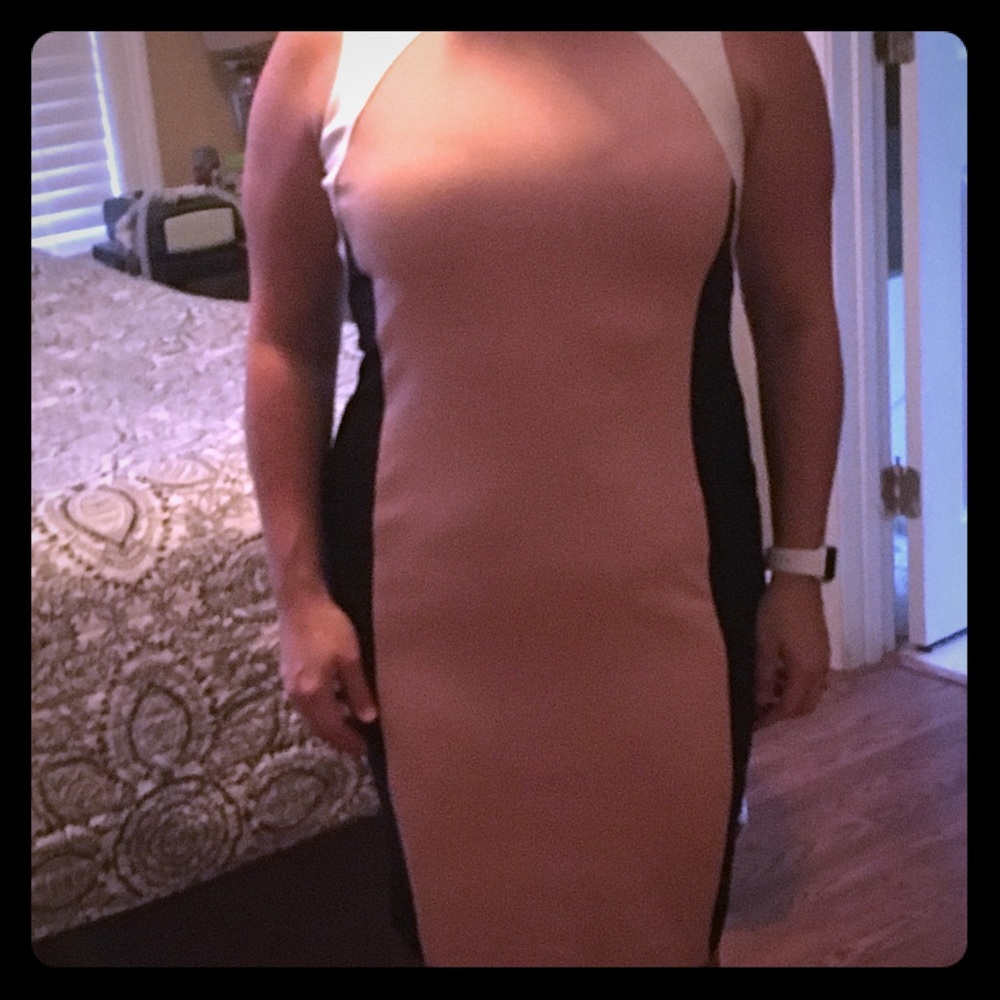 Ann Taylor dress
